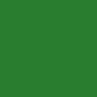 Dupli-Color Acrylic Enamel Spray Paint - Leaf Green - 12 oz. - Model DA1630
