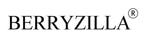 BERRYZILLA Vinyl Sticker - Funny T-Rex Decal for Stick Figure Family - 8"x5", White, Model scd007