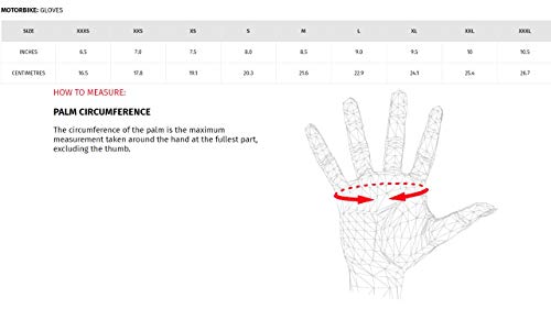 Dainese Adult Blackjack Unisex Gloves Black M, 2 Pack