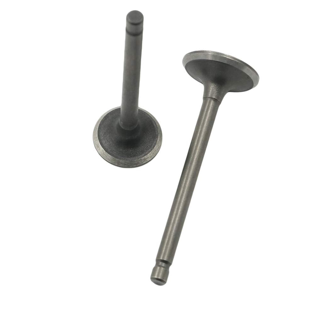 Autovic Valve Set Intake Exhaust Valves For Yamaha Atv Badger Realtree Hunter Champ Raptor Yfm80R Yfm80W Yfm100 Replace 22K-1211