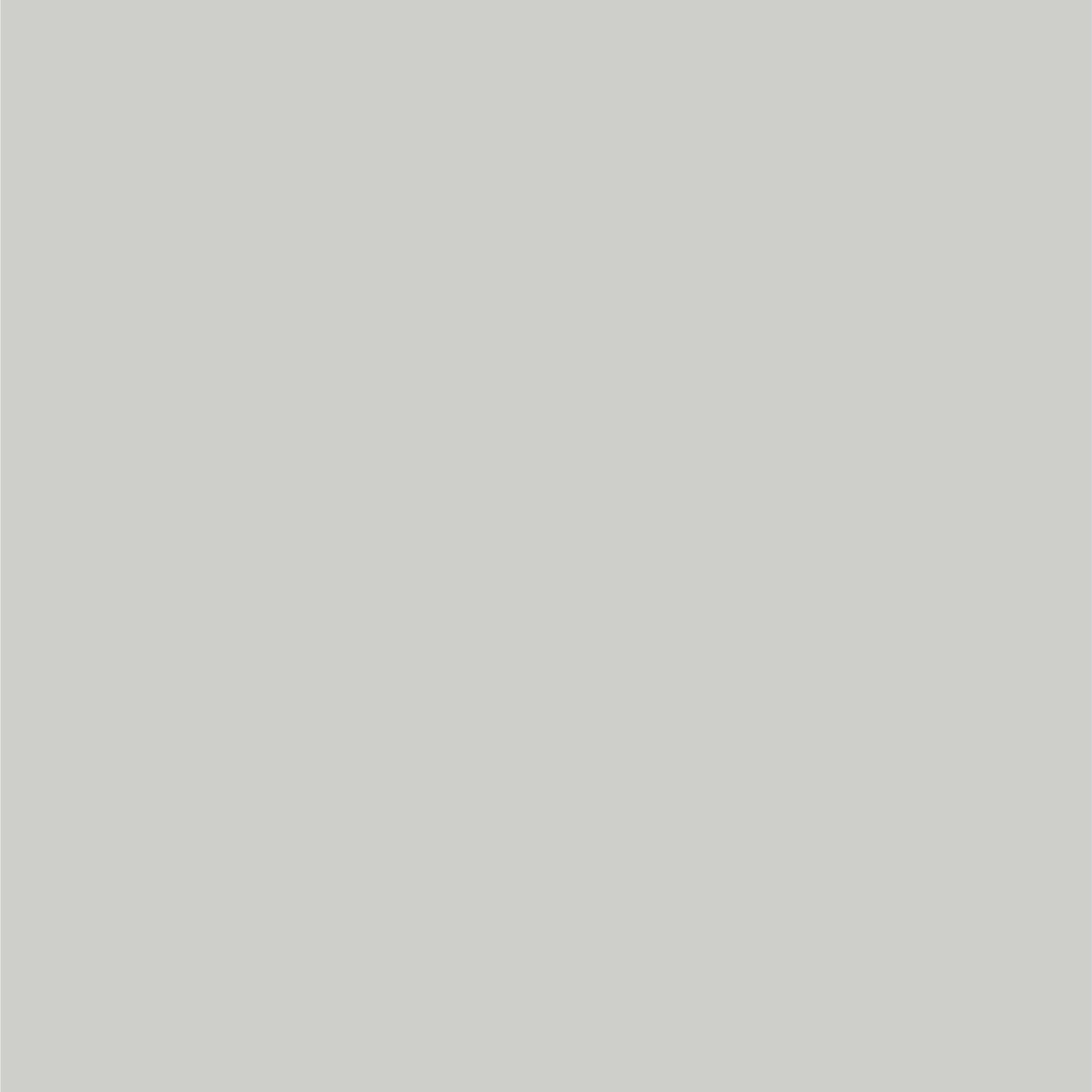 Dupli-Color Ebfm03617 Perfect Match Automotive Spray, Ford Silver Birch, Jp - 8 Oz. Aerosol Can