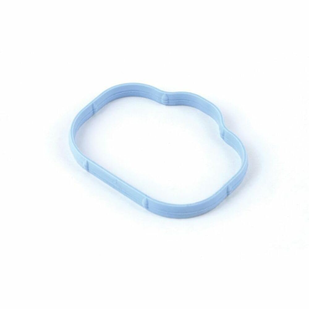 Plenum Gasket
