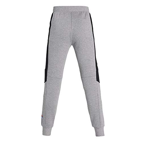 PUMA Formula 1 Men's Sweat Pants, Large, Polyester, Medium Gray Heather, Model 59800203