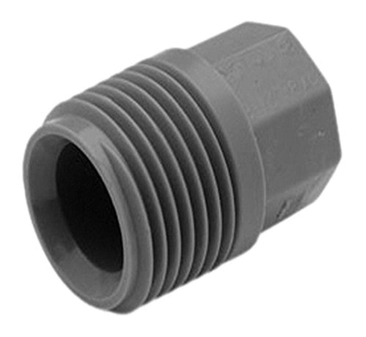 LaSalle Bristol 79SCTP4 3/4 inch Male Pipe Thread Test Plug
