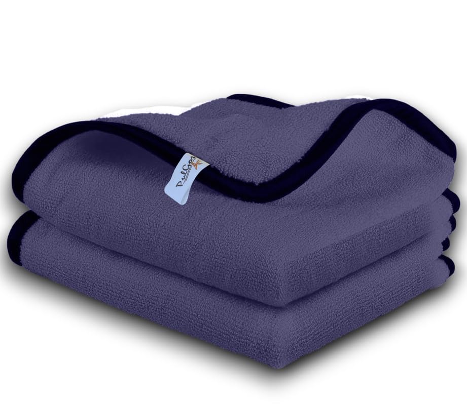 PulGos 2 Pcs Multipurpose Microfiber Cloths40x40cm Thick Lint& ScratchFree, Highly Absorbent, Reusable Cleaning Rags Micro Fib
