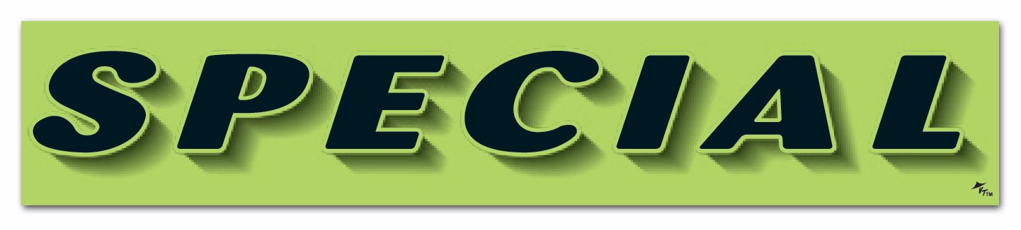 Vinyl Highlights Windshield Slogans Window Stickers (Black Text On Fluorescent Green) (14-1/2 x 2-3/4) (12 per Pack) (Special)