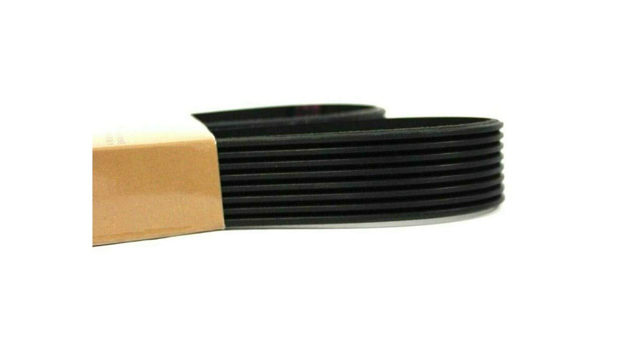Dayco 5060790 Fan Belt