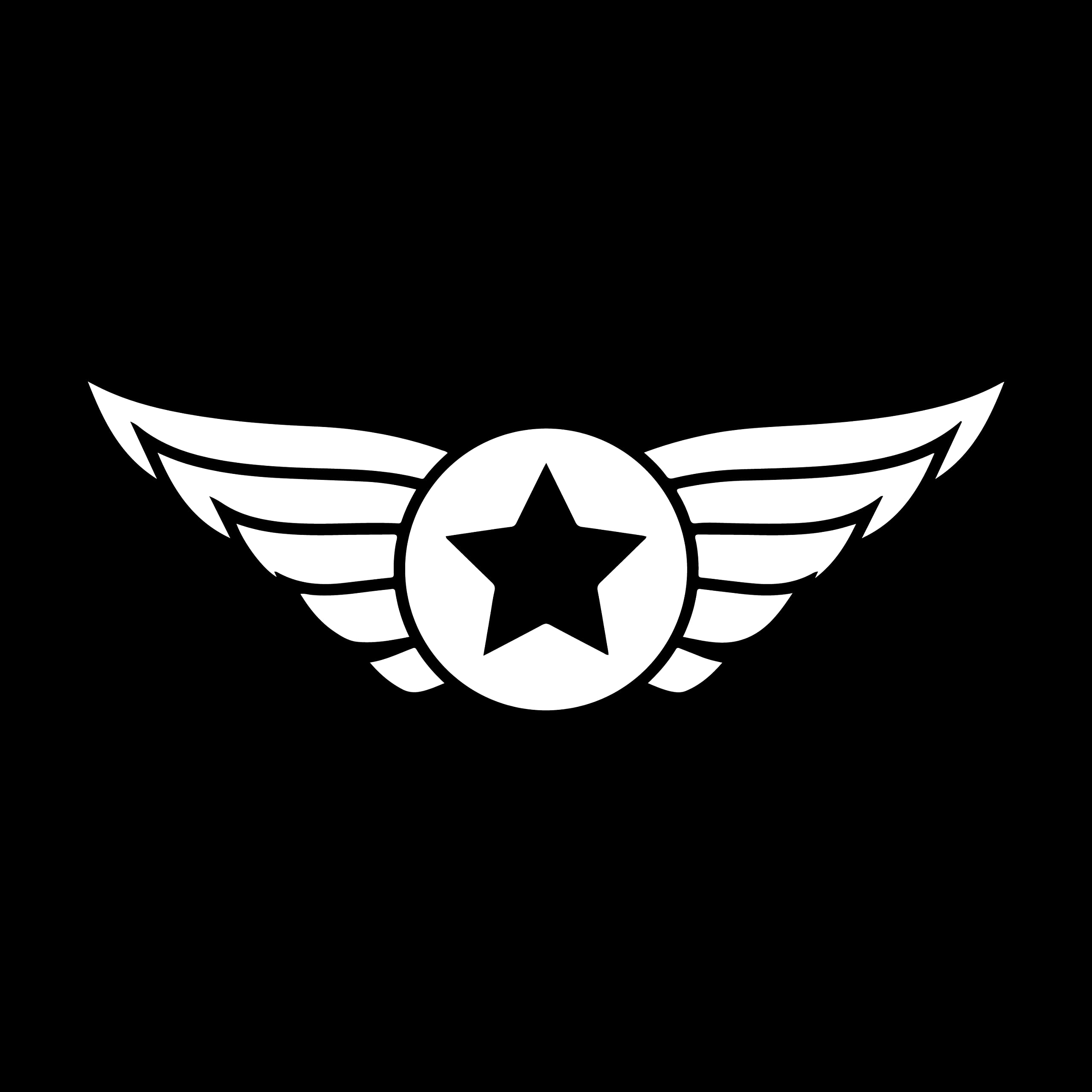 Isee 360 Indian Air Force Sticker For Bike Sides Tank Waterproof Decals L X H 12.00 X 4.50 Cms (Pack Of 2) (White)