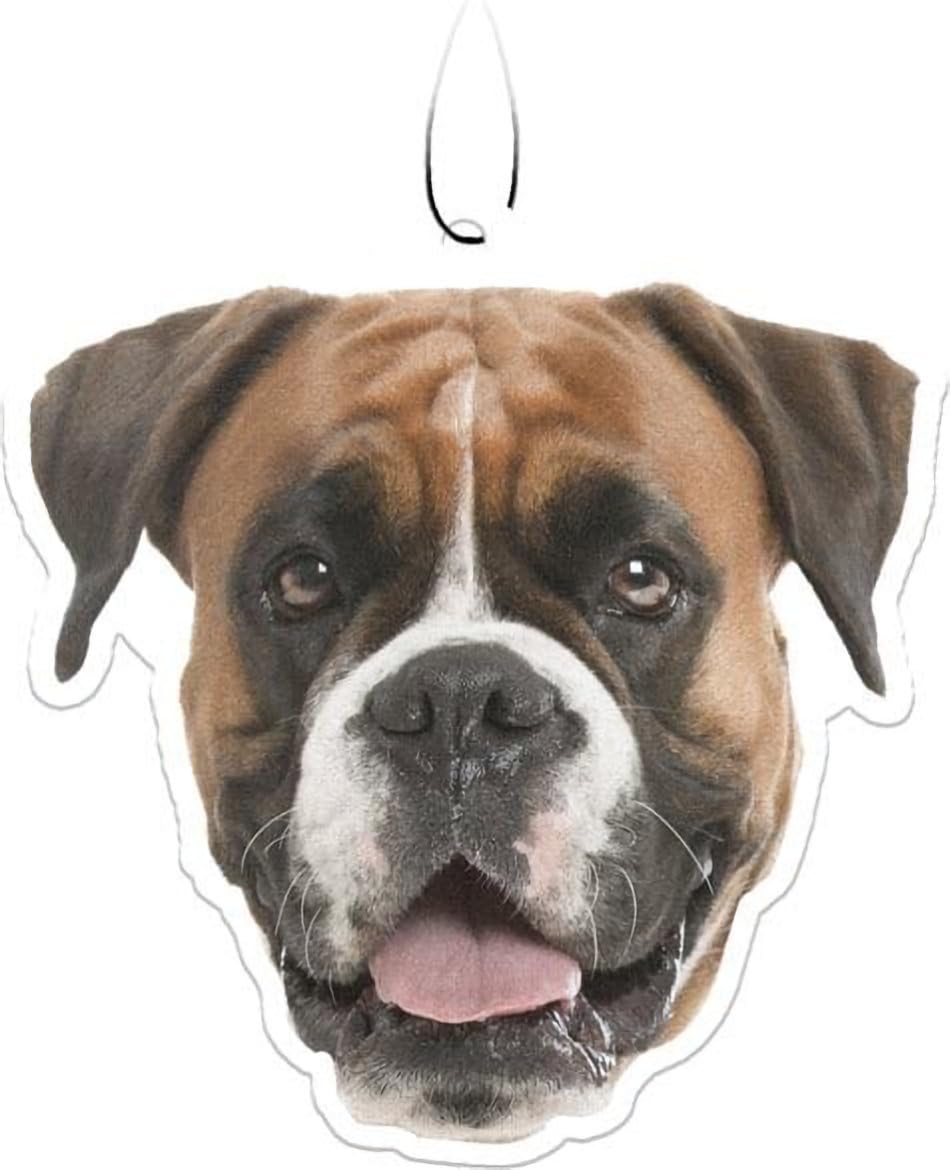 Spoontiques Boxer Air Freshener
