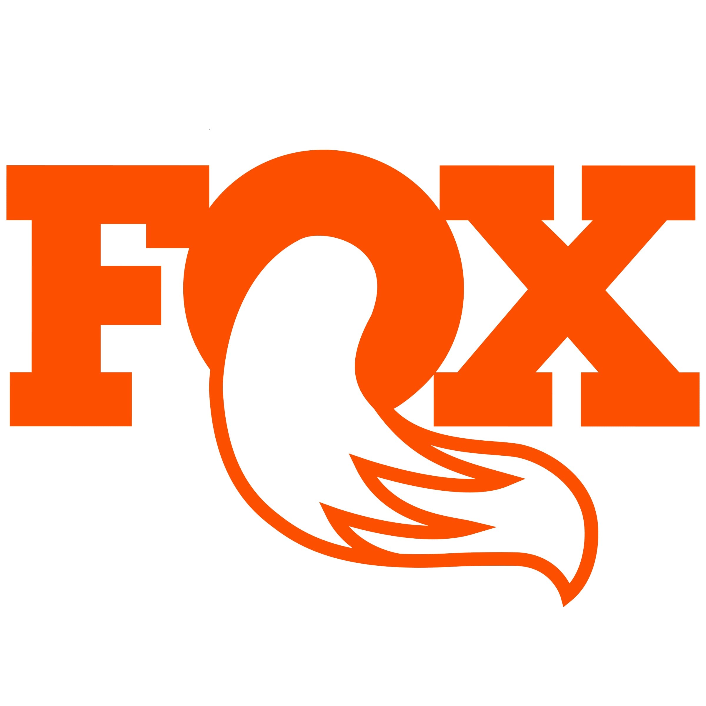 Fox Shox Fox 98524001 Steering Stabilizer