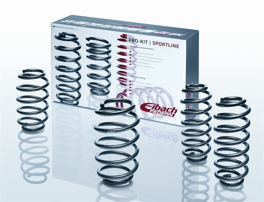 Eibach E10-35-020-02-22 Performance Pro-Kit Springs