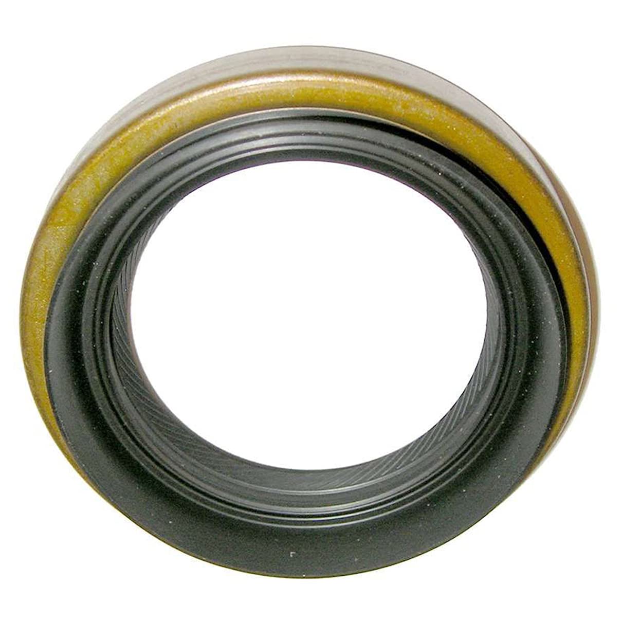 Skf Seal (18491)