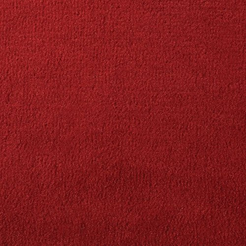 20 oz. Do-It-Yourself Boat Carpet - 8 Wide x Various Lengths (Choose Your Color & Length) (Red, 8 x 12)