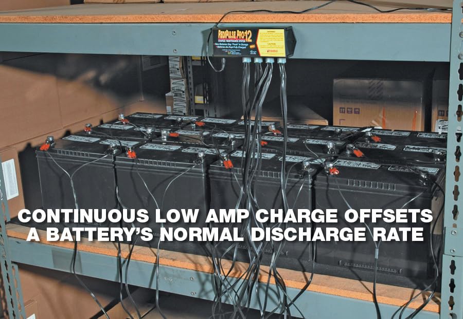 PulseTech PRO-12-RP Battery Maintenance System - RediPulse12 for Optimal Performance