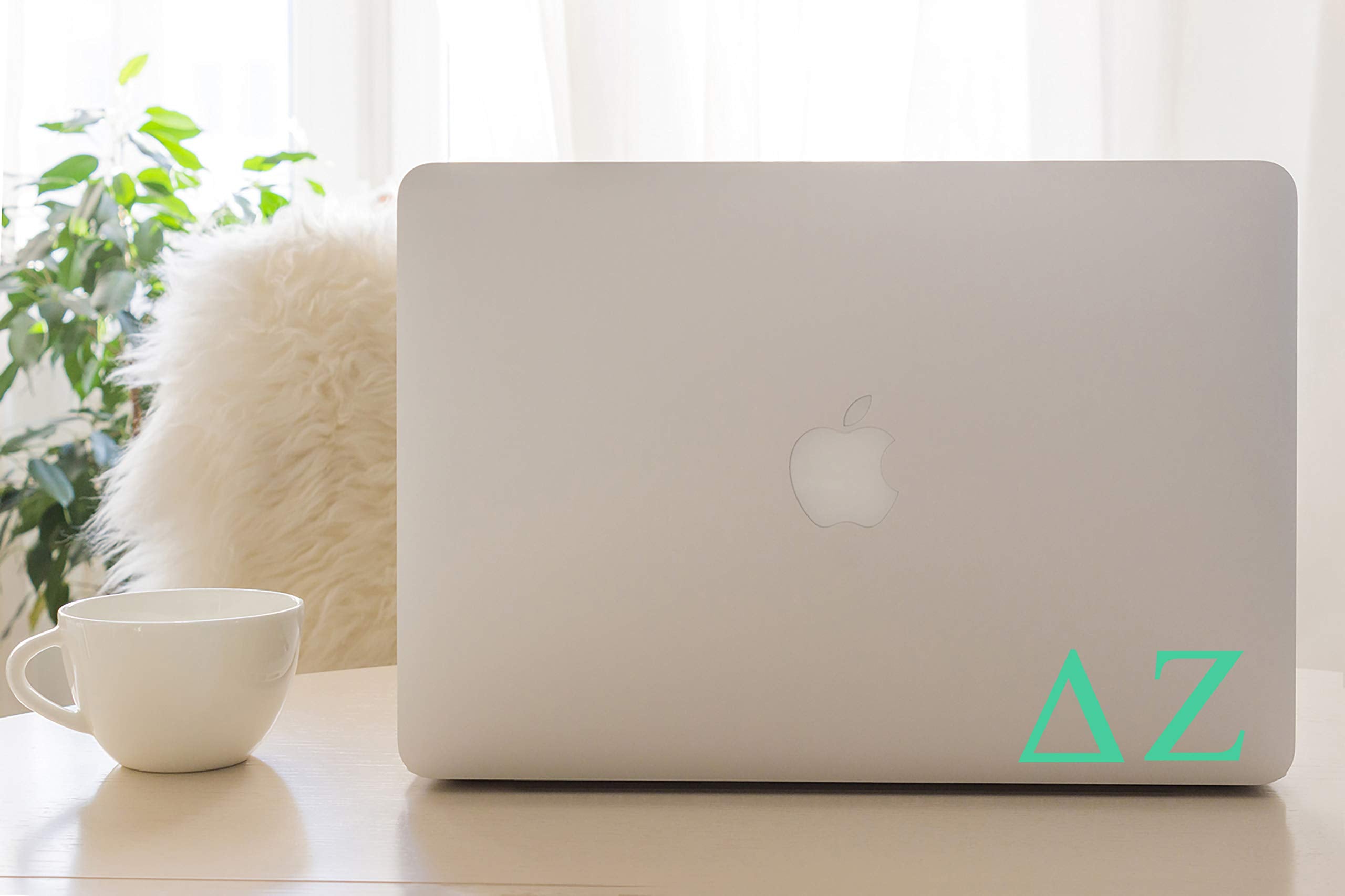 Pro-Graphx Delta Zeta Greek Sorority Sticker Decal, 2.5 Inches Tall, Mint