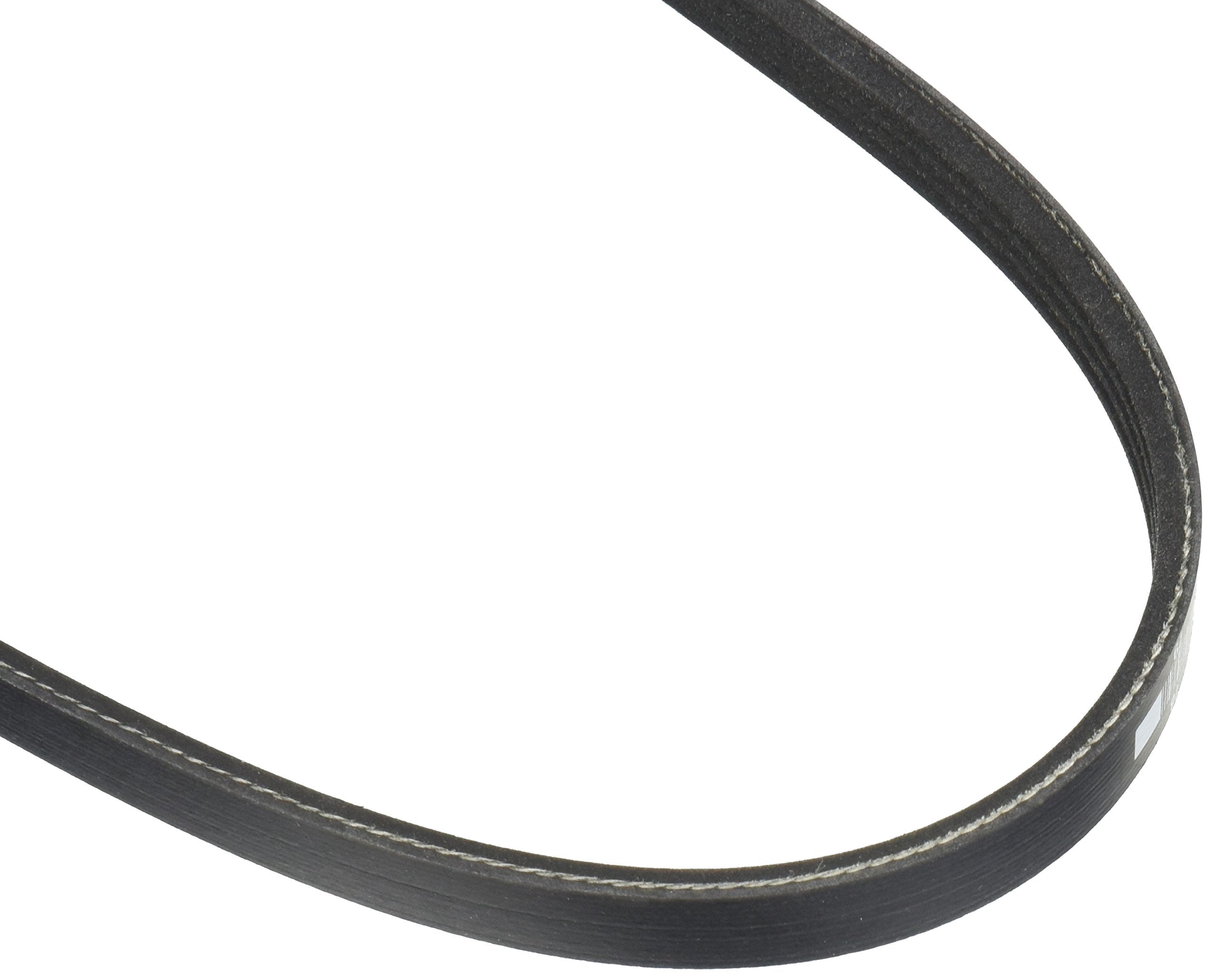 Motorcraft Drive Belt, Black