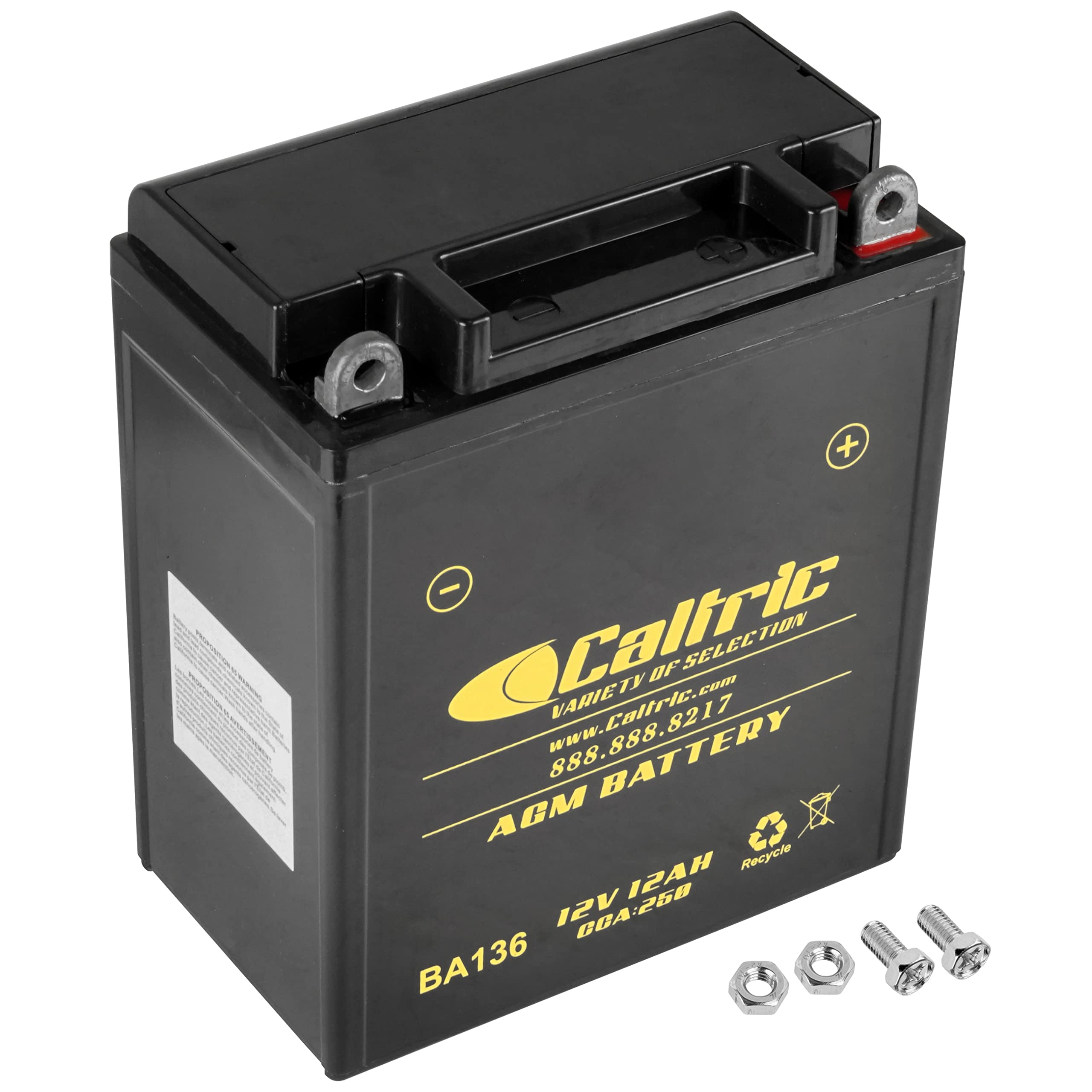Caltric Yb12Al-A2 Agm Battery Compatible with Yamaha Fzr600 Fzr600R 1989 1990 1991 1992 1993-1999