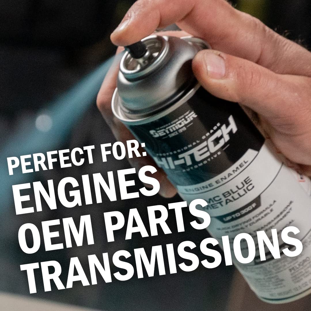 Seymour EN-71 Hi-Tech Engine Spray Paint, Dull Aluminum 12 Ounce (Pack of 1)
