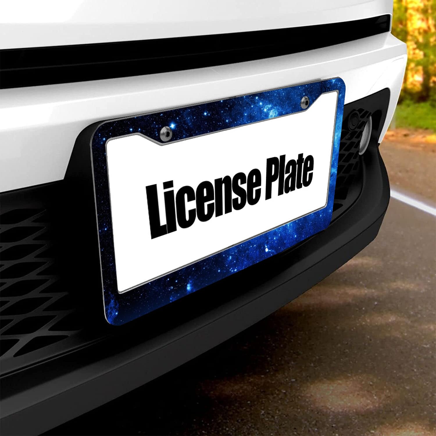 Skull Goth License Plate Frame Gothic Car Accessories For Decor License Plate Holder For Front Rear Car Tag Cover 2 Holes Screws