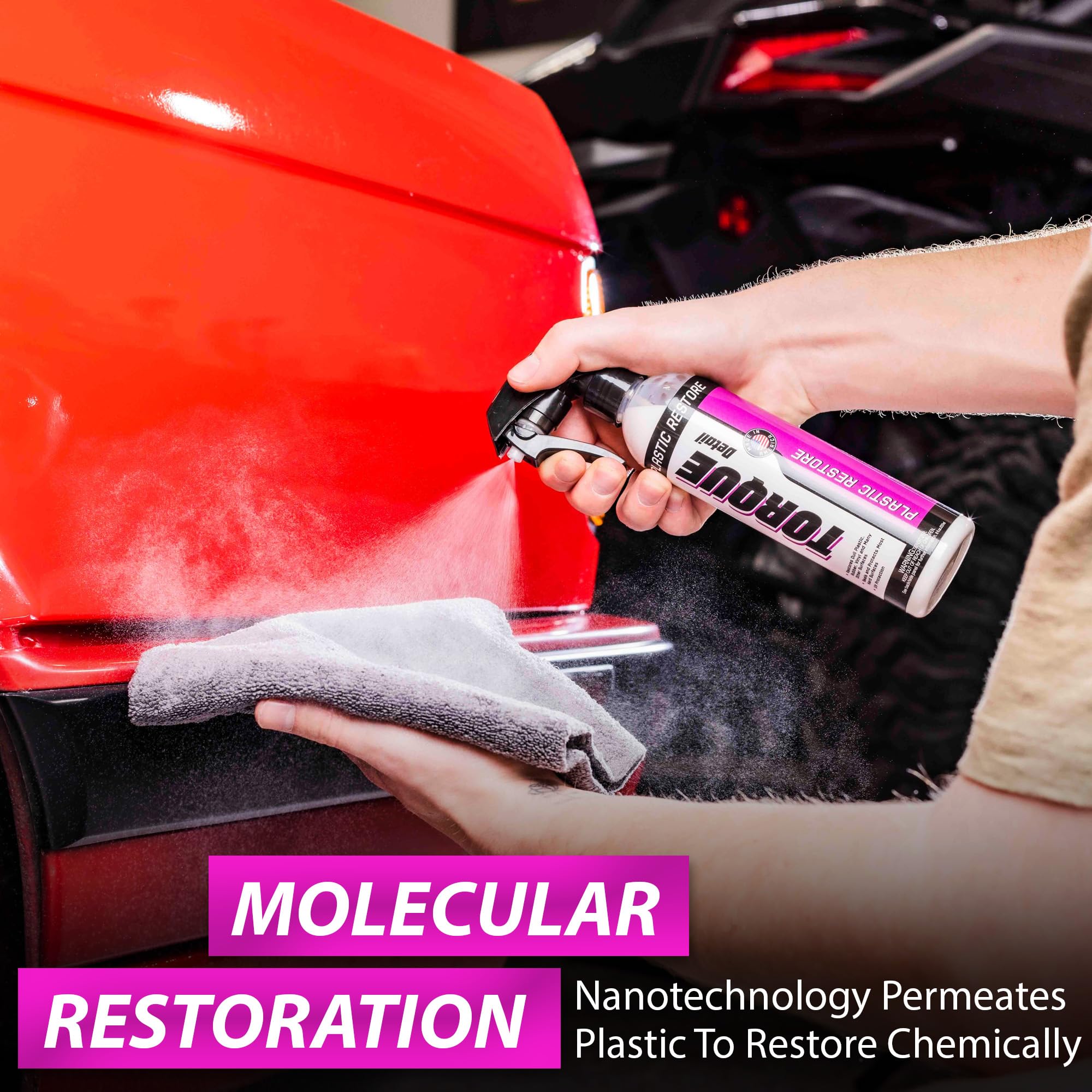Torque Detail Plastic & Trim Restorer Spray - Restores & Protects Surfaces - 9.59 Fl Oz (Pack of 1)