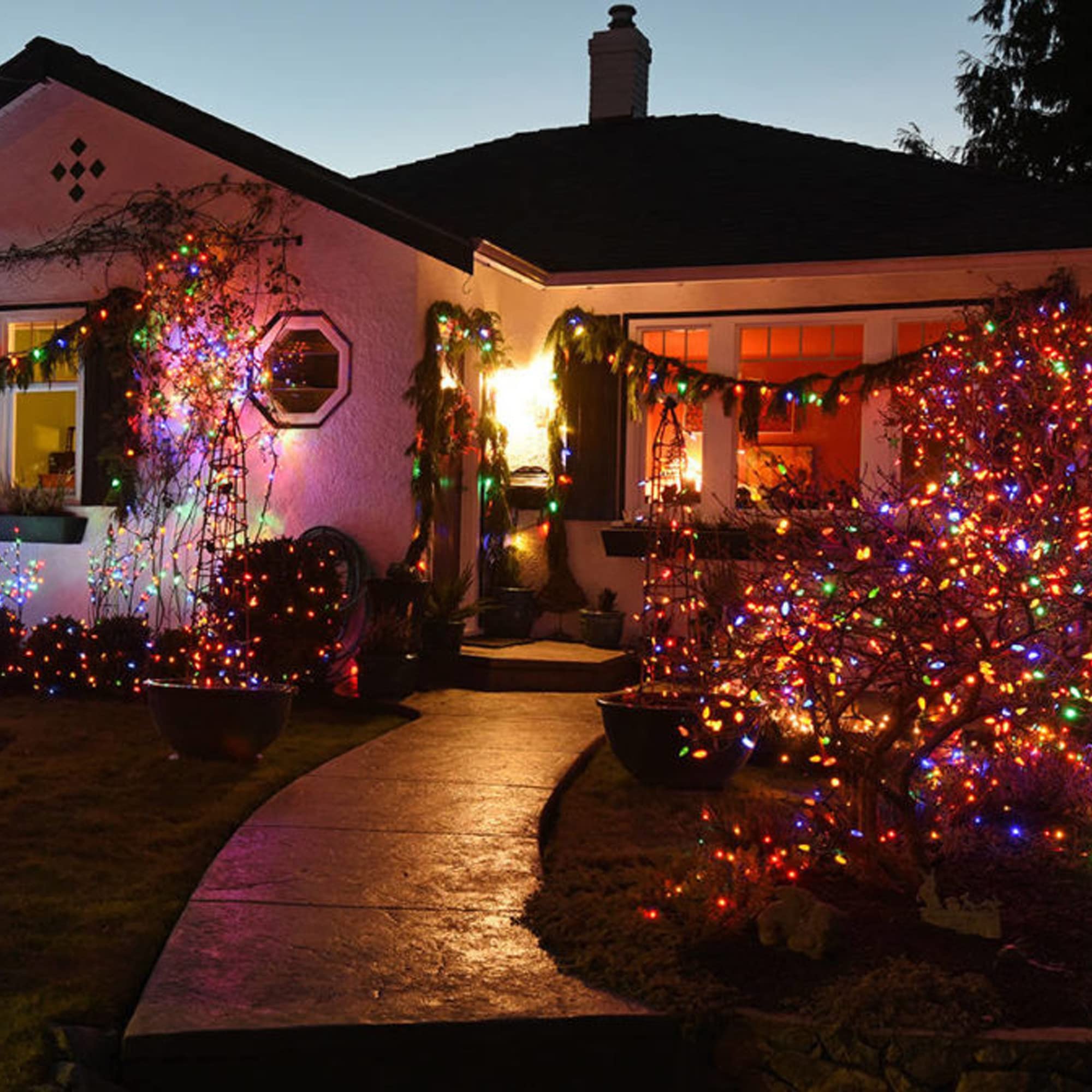Tw Shine Outdoor Christmas Lights, 20Ft 100 Count Christmas String Lights Incandescent, Waterproof Indoor Mini Christmas Tree Li