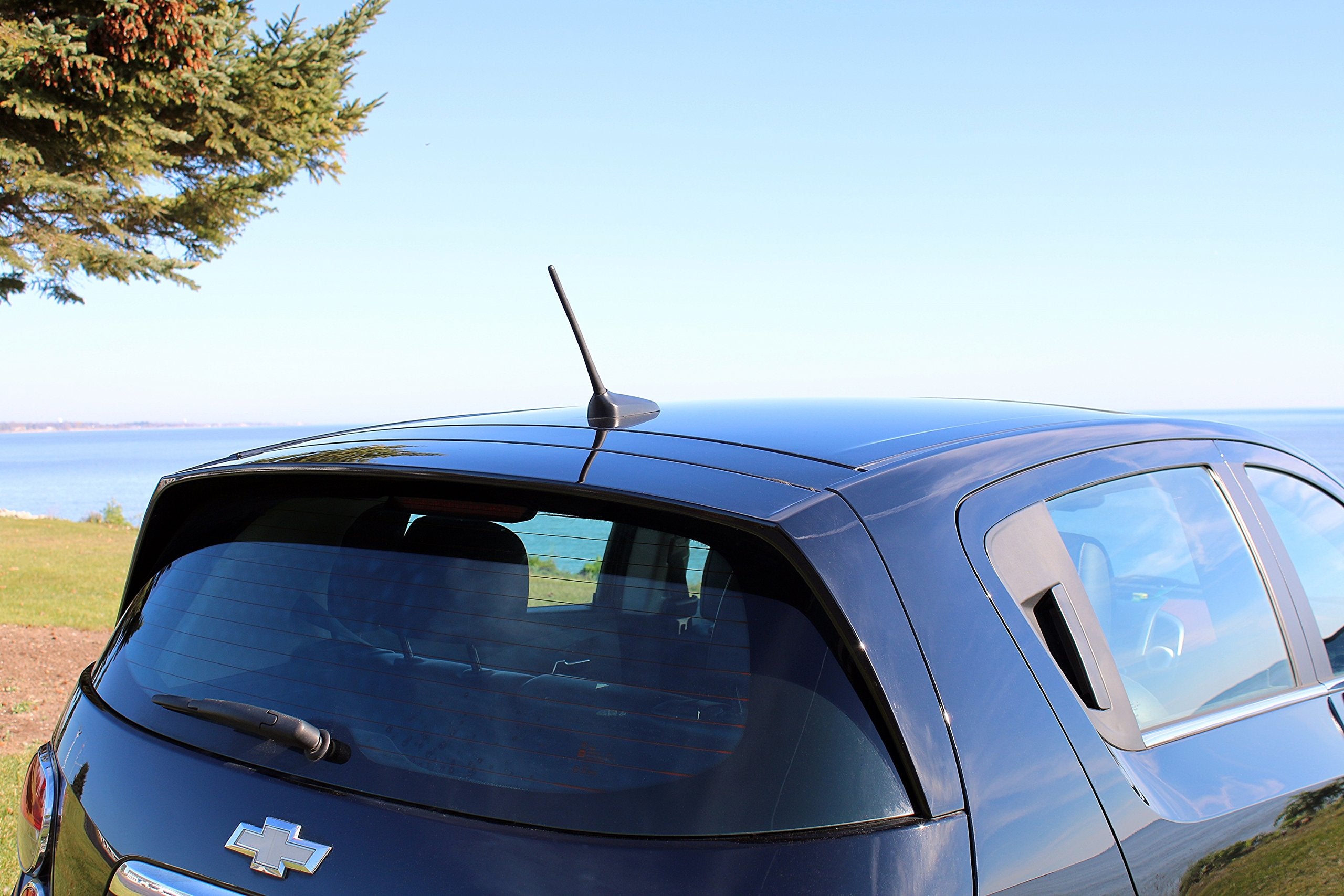 Antennamastsrus - 8 Inch Screw-On Antenna Is Compatible With Ford Focus (2008-2018)