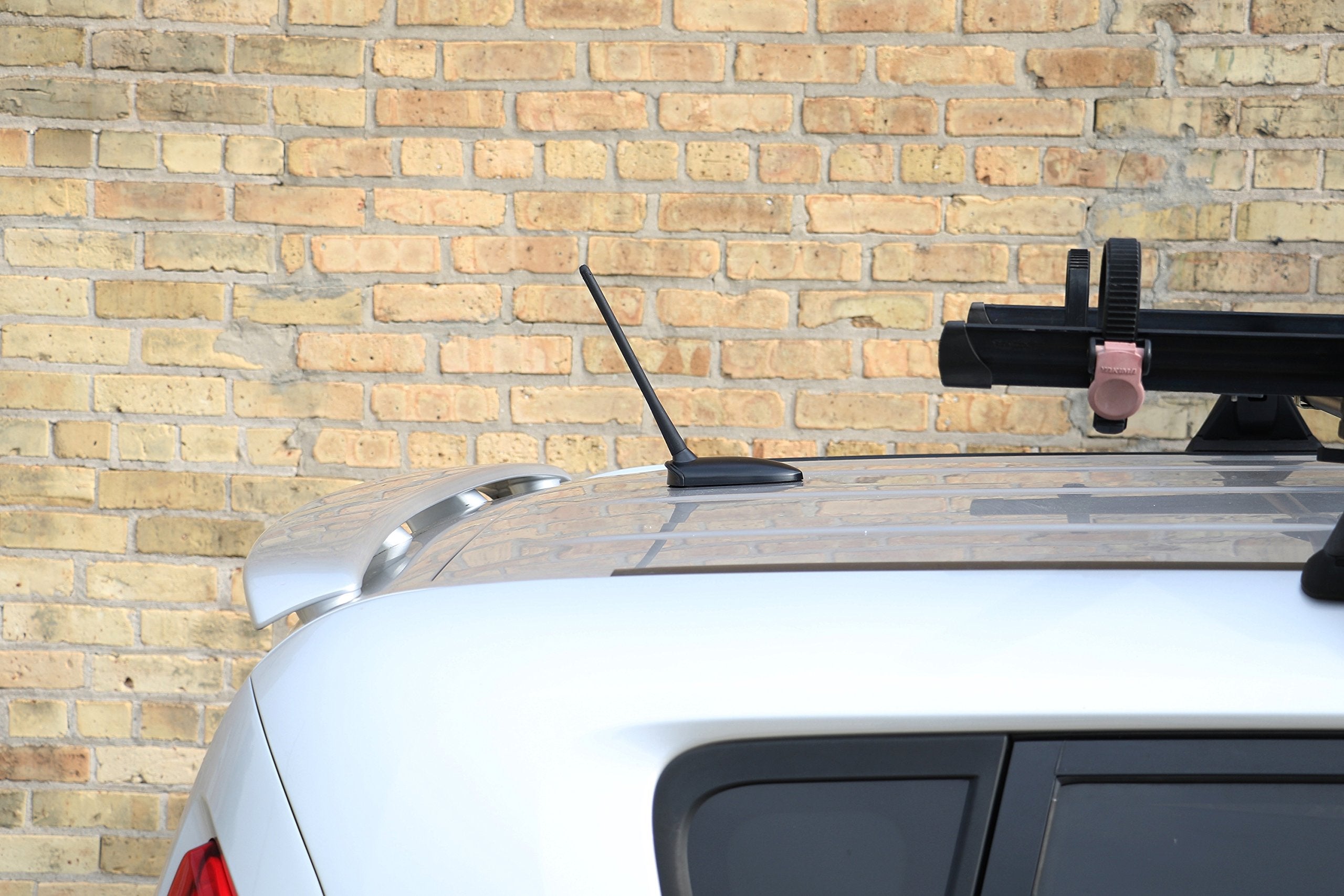 Antennamastsrus - 8 Inch Screw-On Antenna Is Compatible With Ford Focus (2008-2018)