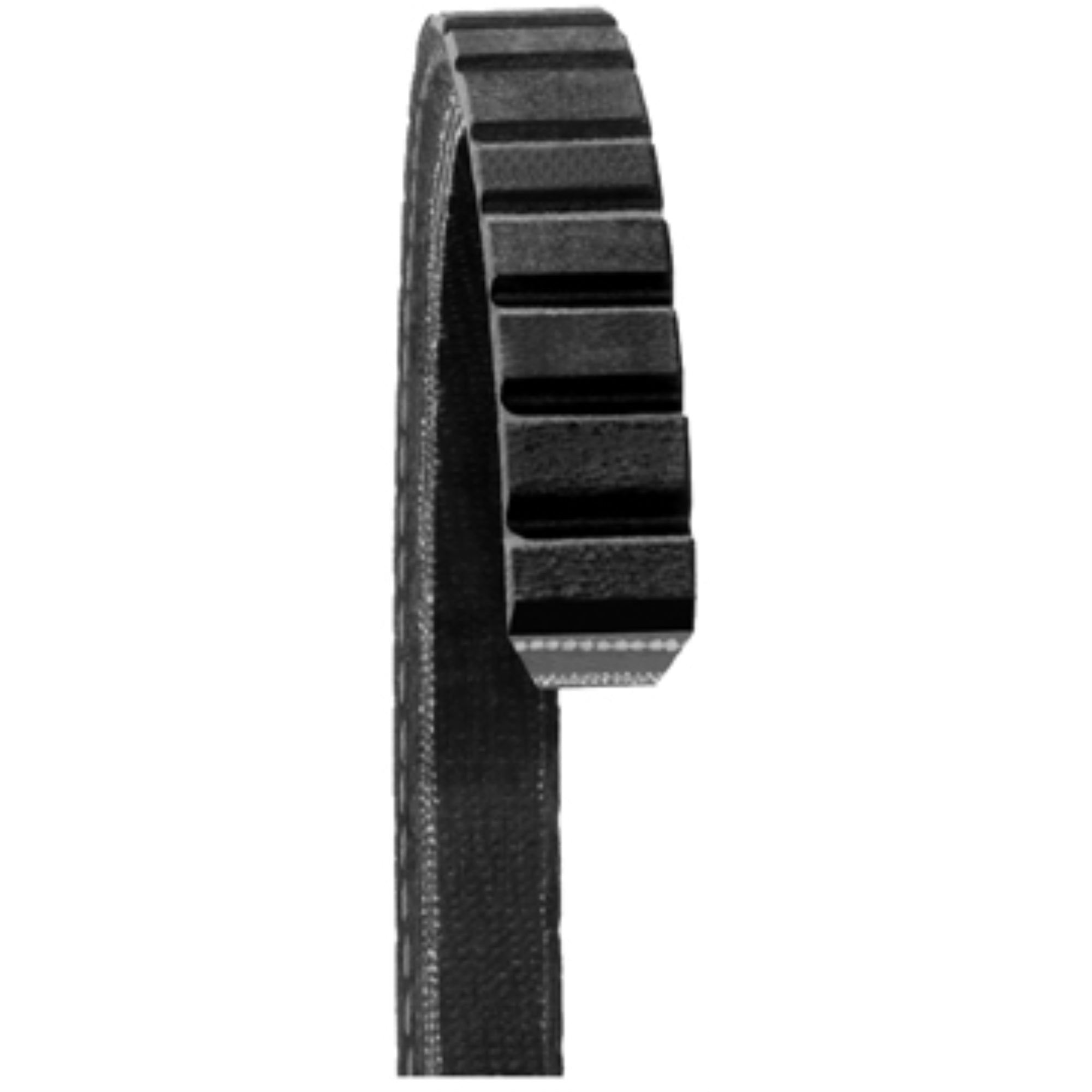 FAN BELTS
