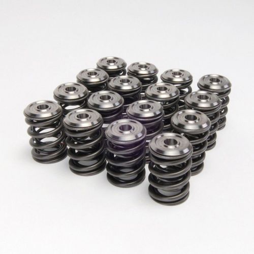ACURA K20 ENDURANCE DUAL SPRING S10099 (Ferrera KT4003)