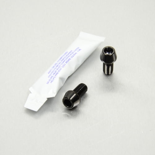 PRO BOLT Stainless Steel Rear Brake Mounting Bolt Kit (SSRBMON200BK)